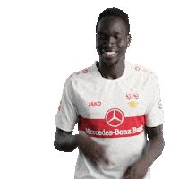 Happy Football Sticker by VfB Stuttgart