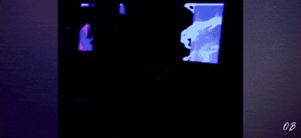 Singer Celebrity GIF by Or Barak