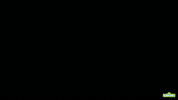 GIF by Sesame Street