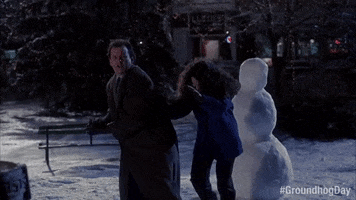 Bill Murray Winter GIF by Groundhog Day