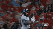 Major League Baseball Sport GIF by MLB