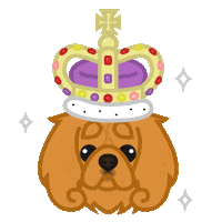 Dog Sennathecavalier Sticker