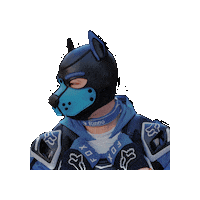 Fox Puppy Sticker