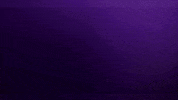 Go Get It Nfl Playoffs GIF by Minnesota Vikings