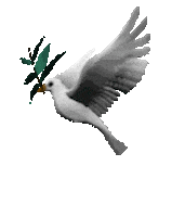 3D Bird Sticker