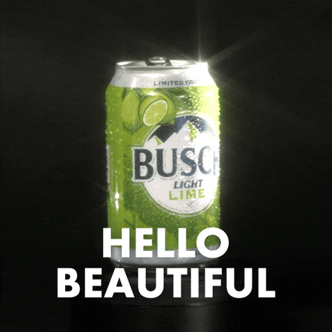 Busch Light GIF by Busch Beer