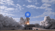 Ada Cardano GIF by Crypto GIFs & Memes ::: Crypto Marketing