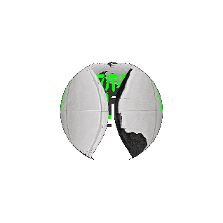 Cena-Skate giphyupload skate skateboard planeta Sticker