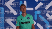 2 Bundesliga Goal GIF by Karlsruher SC