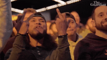 Ufc Fans GIF by The Guardian