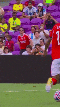 Haris Zeb GIF