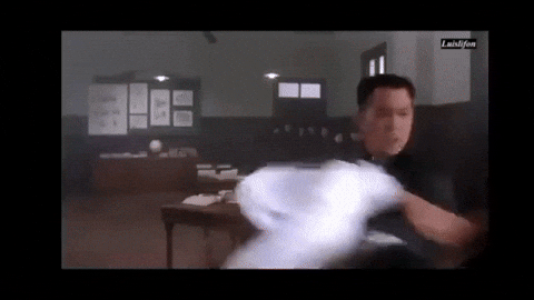 LowFatImports giphyupload fight school legend GIF