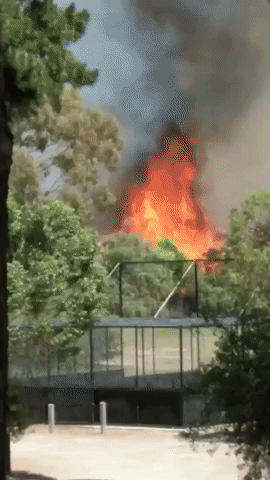 Grassfire in Southeast Melbourne Burns Through Park and Cemetery