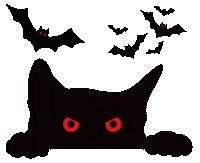 Black Cat Sticker by Bel Diniz