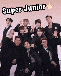 Super Junior Sj GIF