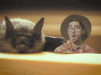 Oh No Smh GIF by 522 Productions