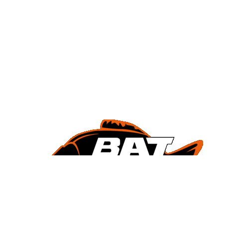 angel_domaene giphygifmaker battackle bat tackle Sticker