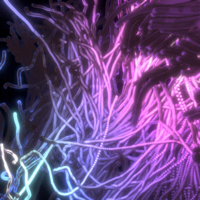 xponentialdesign giphyupload loop lady daily GIF