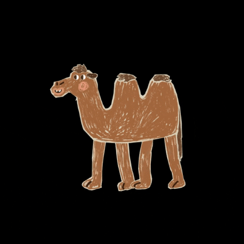 Eisprung giphyupload happy walking camel GIF