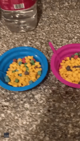 California Mother Pranks Children With Frozen Cereal