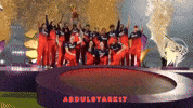 Cricket Ipl GIF