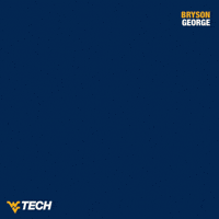 Swimming GIF by WVU Tech Golden Bears