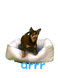 아르르 Sticker by arrr_official