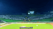 Fly High Raja GIF