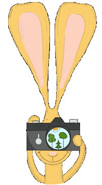 Earth Forest Sticker