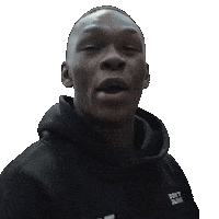 Mixed Martial Arts Sport Sticker by UFC