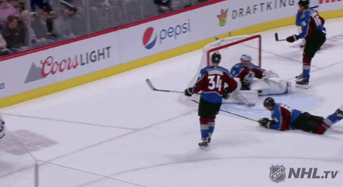 Celebrate Ice Hockey GIF by NHL