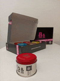 A Jugar Lets Play GIF by Ositos Con Alcohol