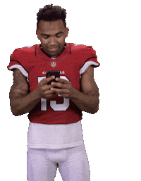 Arizona Cardinals Stickers Sticker by NFL