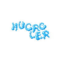 Uniq Sticker by BKM Online