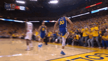 Nba Playoffs Sport GIF by NBA