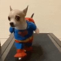 way help GIF