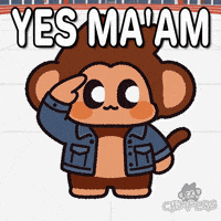 Saluting Aye Aye GIF by Chimpers
