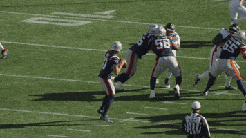Football Nfl GIF by New England Patriots