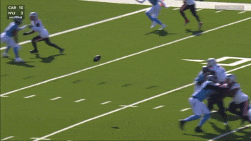 One Handed Catch Football GIF by New England Patriots