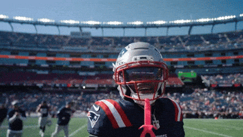 Dance Sing GIF by New England Patriots