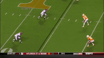 has tennessee football GIF