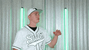 Baseball Nsu GIF by RiverHawk Sports