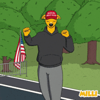 Shiba Inu Doge GIF by MILLI