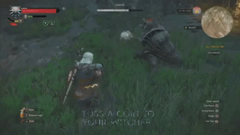 TopGEldenG giphygifmaker giphyattribution witcher 3 GIF