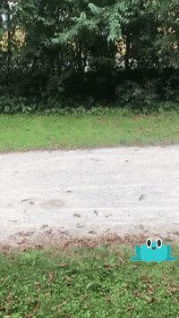 Fun Sport GIF by MVG