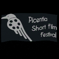 picentiashortfilmfeestival  GIF