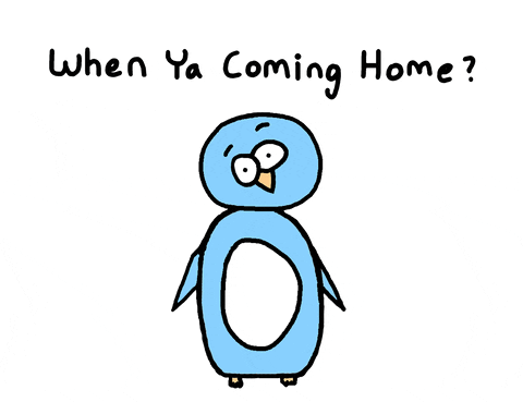 Coming Home Penguin GIF