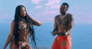 Megan Thee Stallion GIF by Moneybagg Yo
