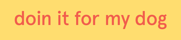 dandypet giphyupload dandy dandypet dandydog GIF