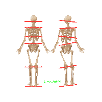 Therapy Physio Sticker by Luxxamed GmbH